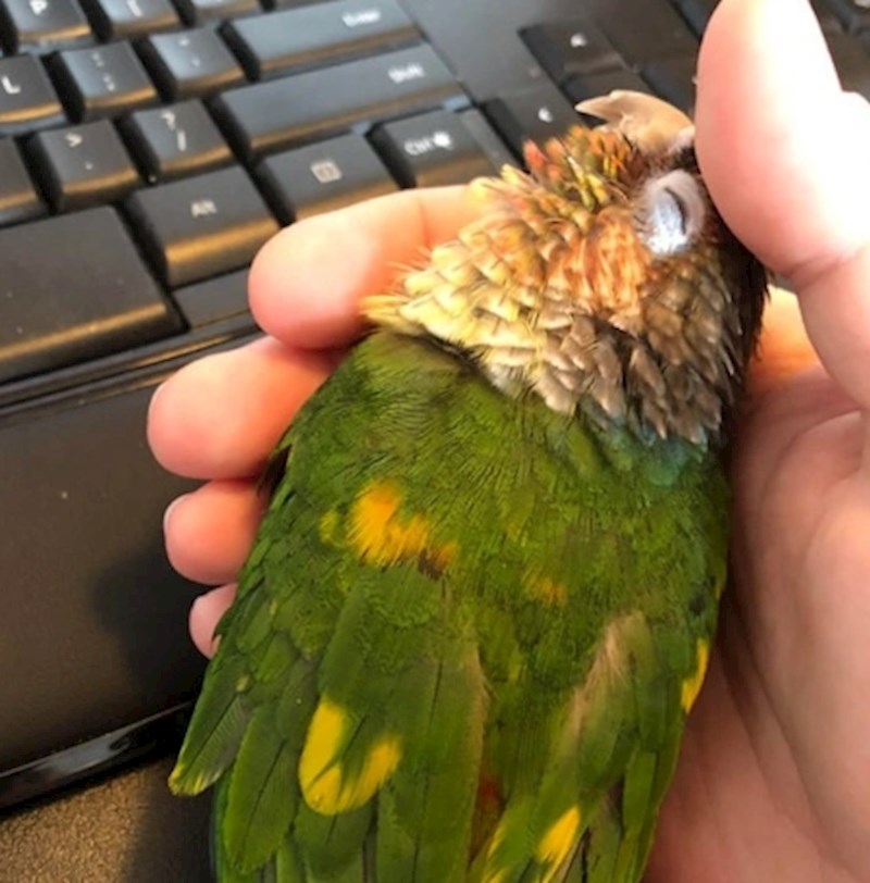 "I kako da ja sad radim pod ovakvim najslažim uvjetima?"