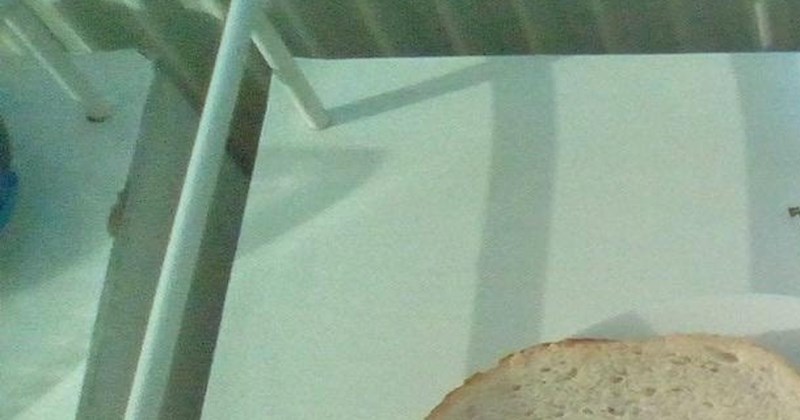 Ljudi na Fejsu šokirani doručkom u jednoj bolnici u Mađarskoj, odmah će vam biti jasno zašto