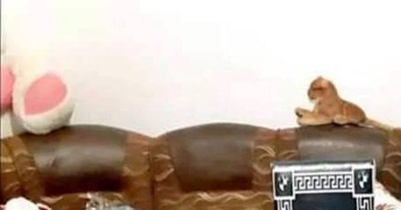 Netko je podijelio fotku svoje bizarno uređene blagovaonice. Ovako nešto nikad ne biste očekivali