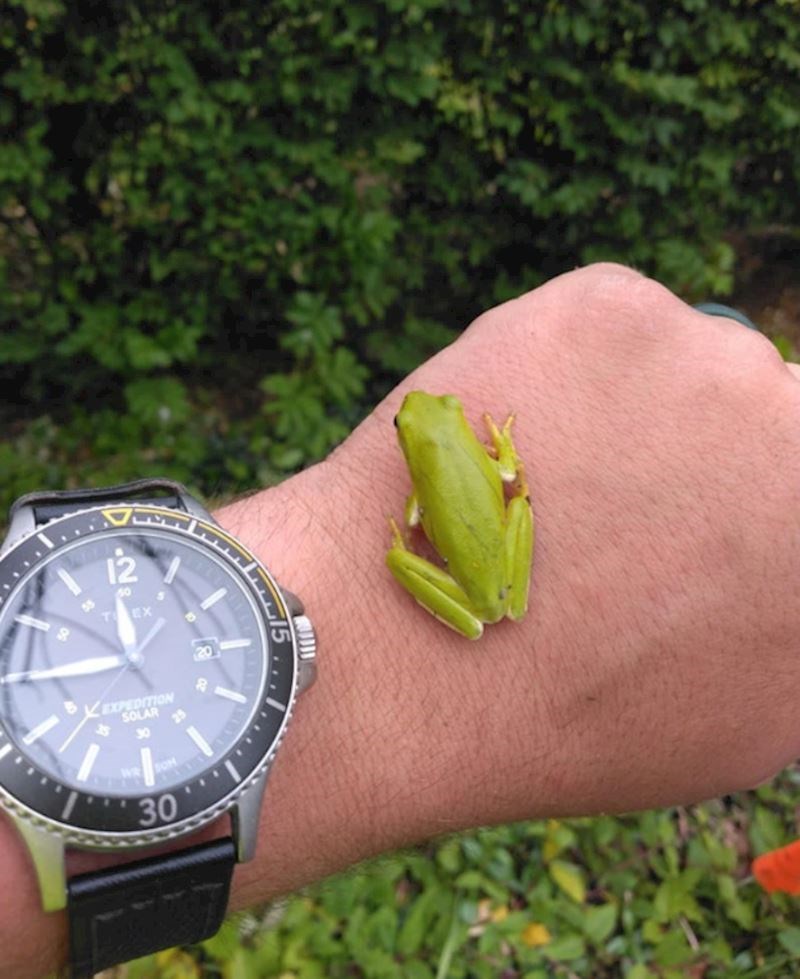 3. "Doslovce je od nigdje skočila kako bi pozdravila."