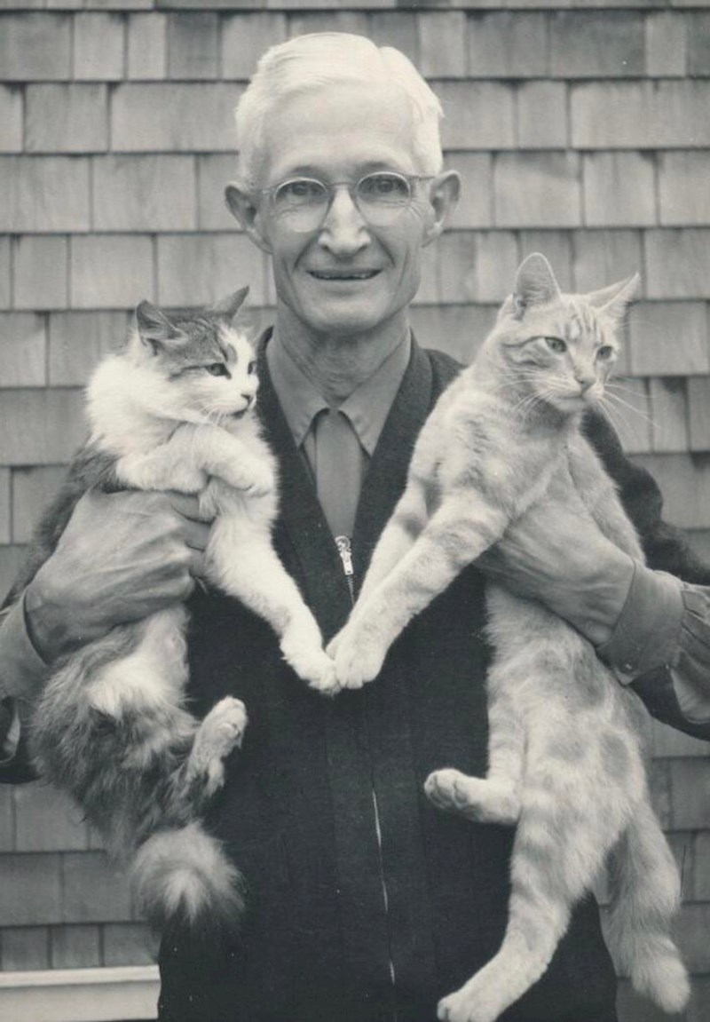 1. "Ujak Al i njegove mačke 1955. godine"