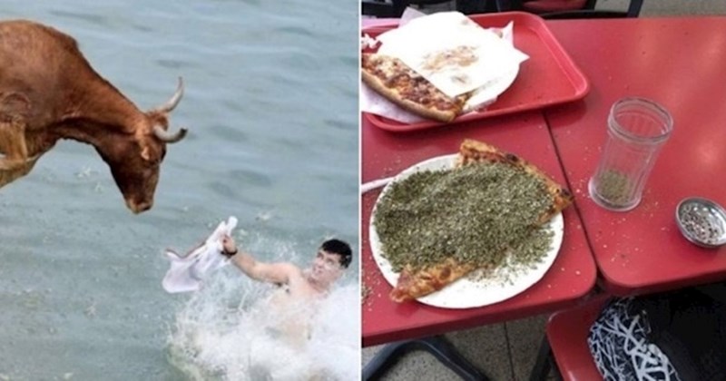 15 fotografija na kojima ljudi jednostavno nisu imali sreće