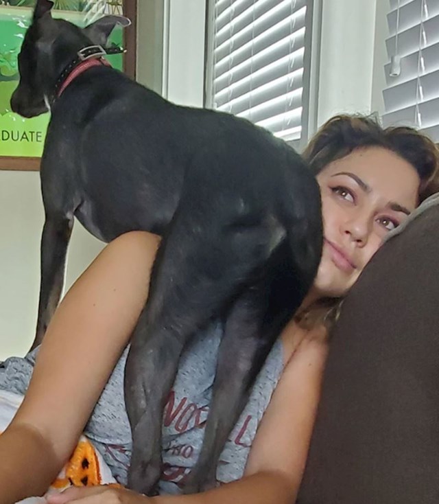 17.