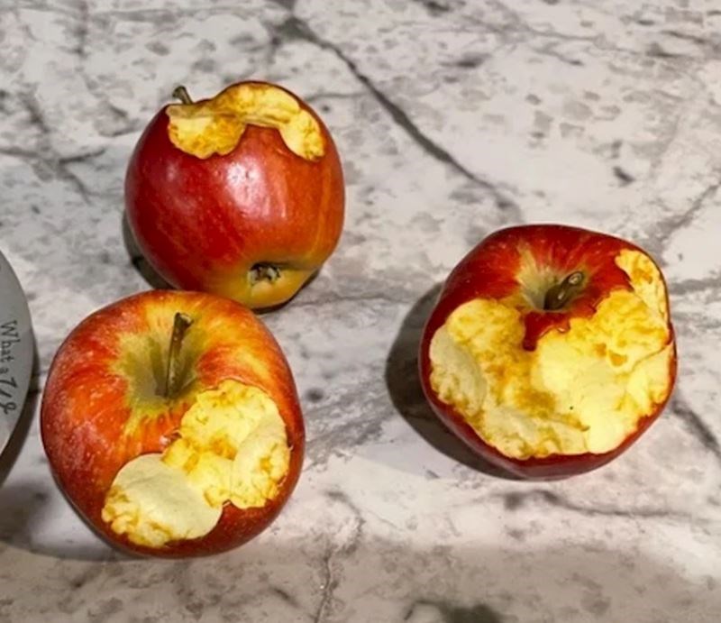 13. "Naravno da ovako jedu jabuke"