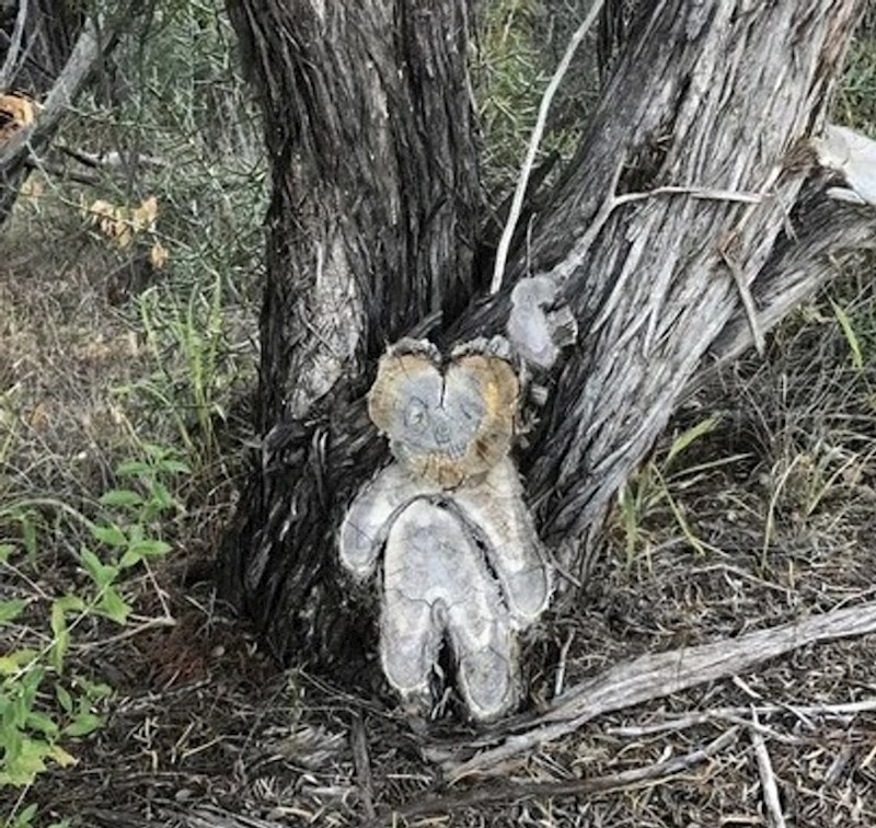4. "Izgleda li samo meni ovo kao mali medvjedić?"