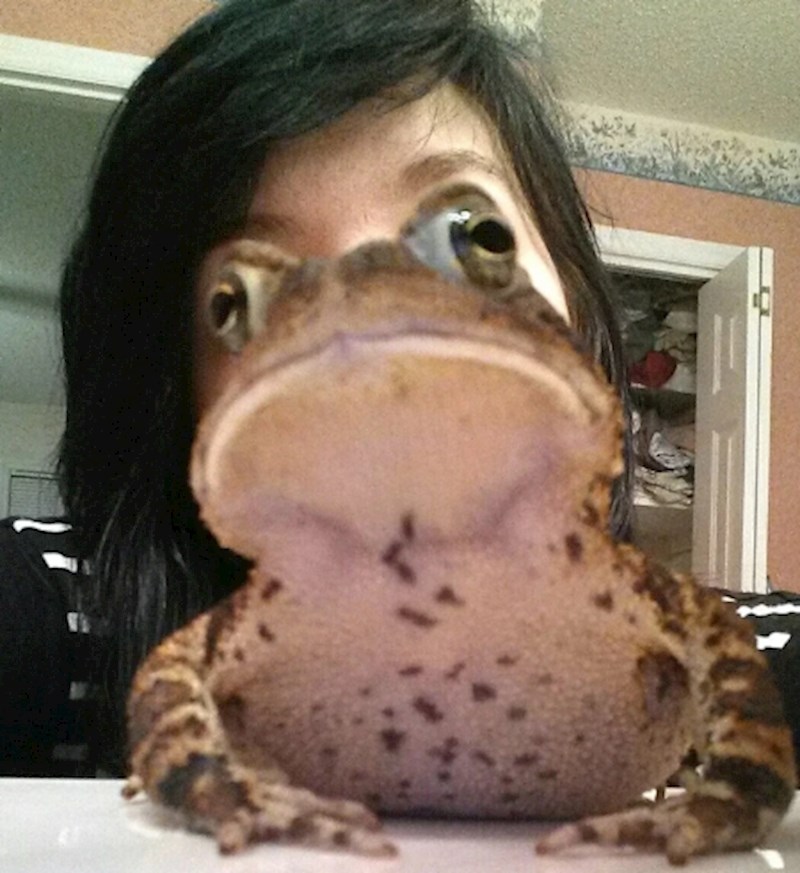 5. "Moj frend žabac i ja"