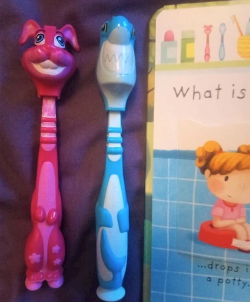 Prave čestkice i četkice u knjizi su identične!