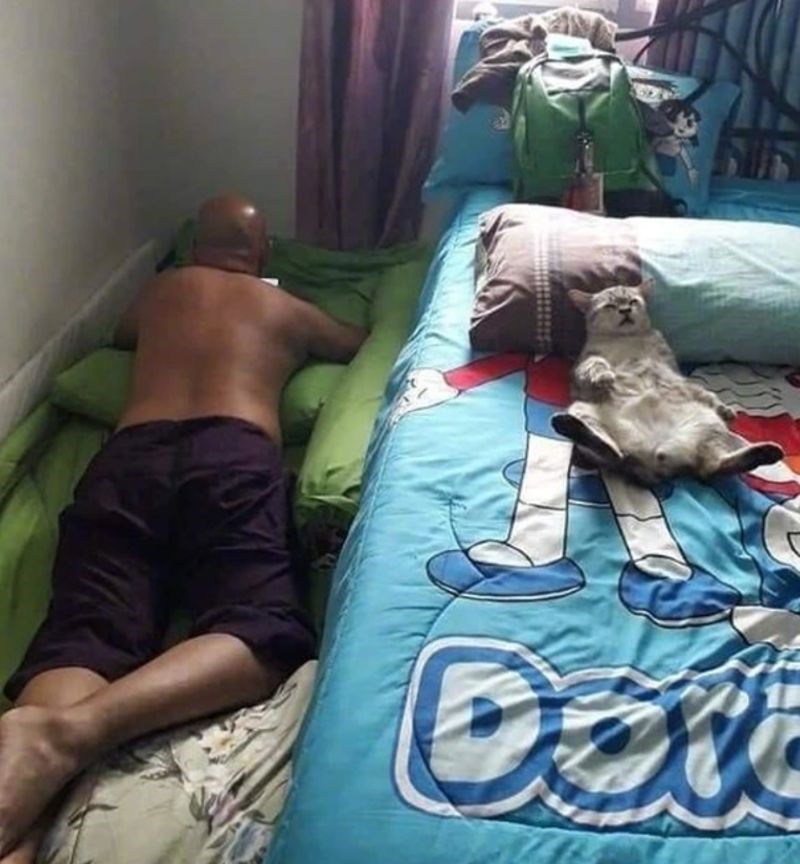 2. "Nije htio leći na krevet da ne uznemiri mačku..."