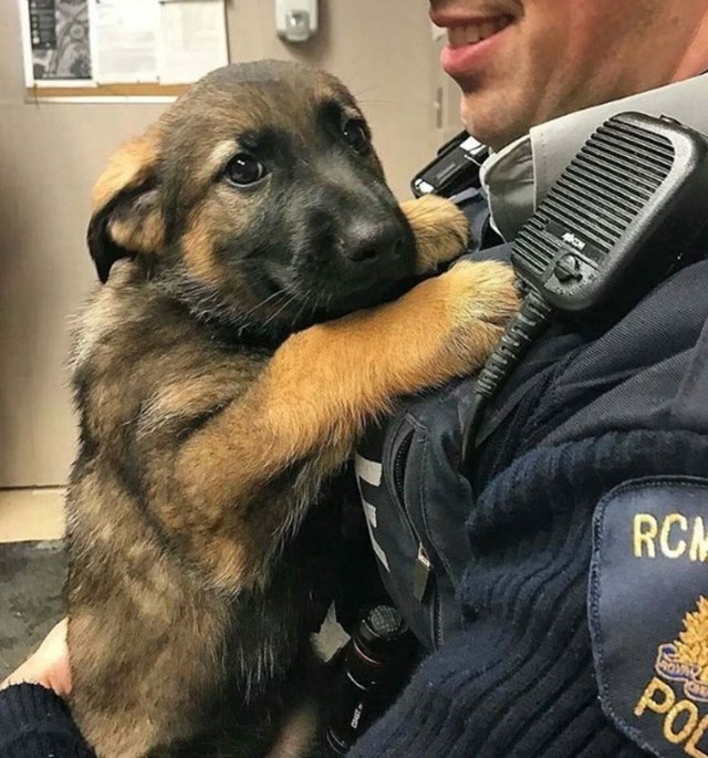 "Prvi dan u školi za policijskom psa je sigurno stresan..."