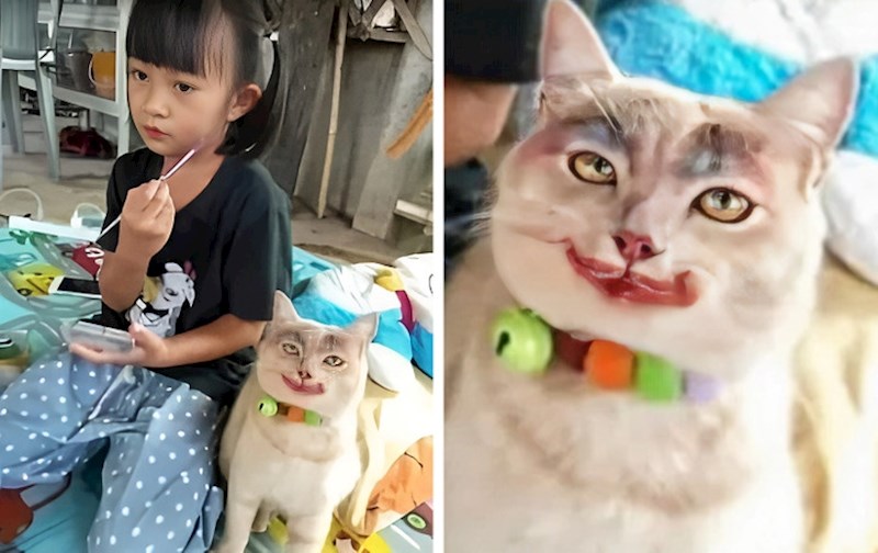 5. "Ne mogu vjerovati da je mačka imala dovoljno strpljenja da se sve ovo dogodi"