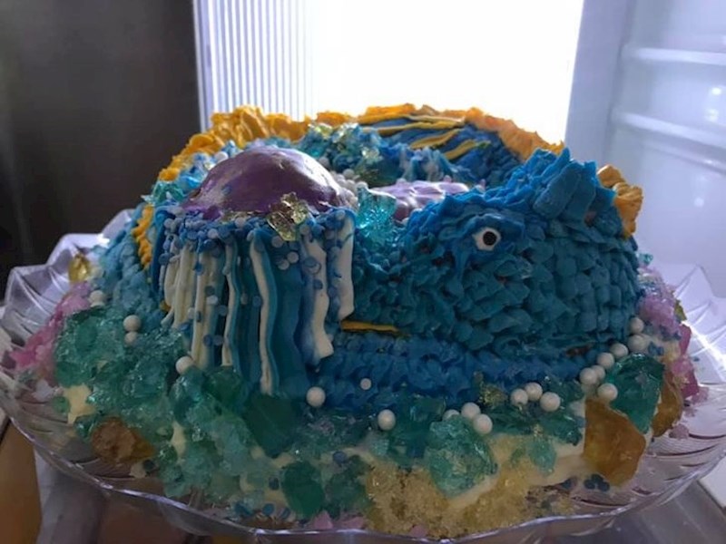 "Molim vas, nemojte nikad tražiti od mene da pečem ili ukrašavam torte za vas"