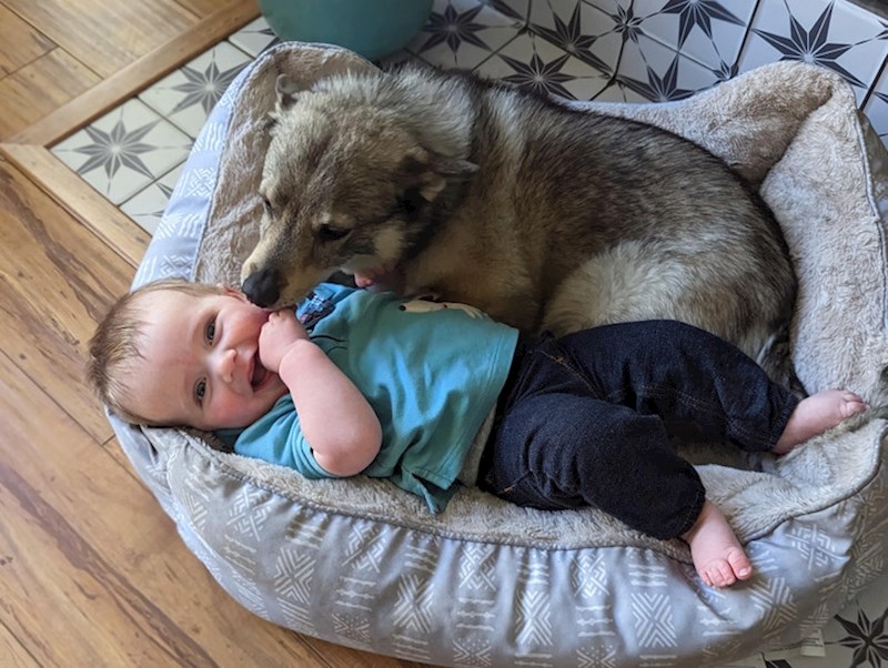 2. "Ne odvajaju se jedno od drugog"