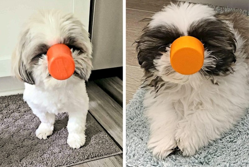 "3 godine kasnije Benjamin i dalje ovako nosi čaše"