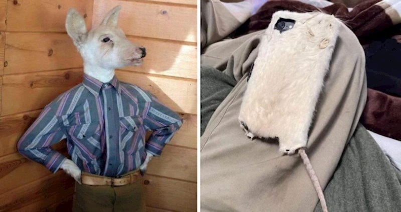 15 prečudnih primjera taksidermije koji bi vas mogli šokirati, teško ćete izdvojiti najgori primjer