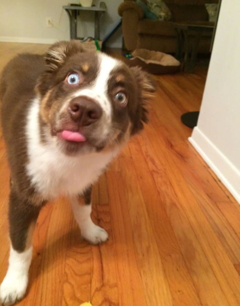 "Probao je maslac od kikirikija, stvorila sam ovisnika..."