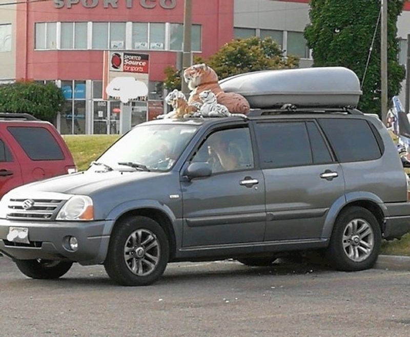 1. Kome se možemo javiti za ovakvu zaštitu?