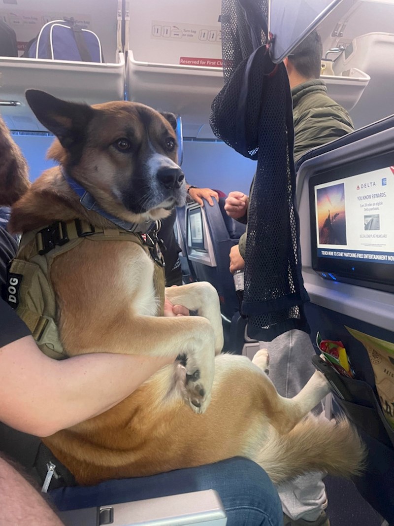 "Danas je u sjedalo do mojeg bio najbolji putnik ikad. Da je barem više ovakvih dok letim"