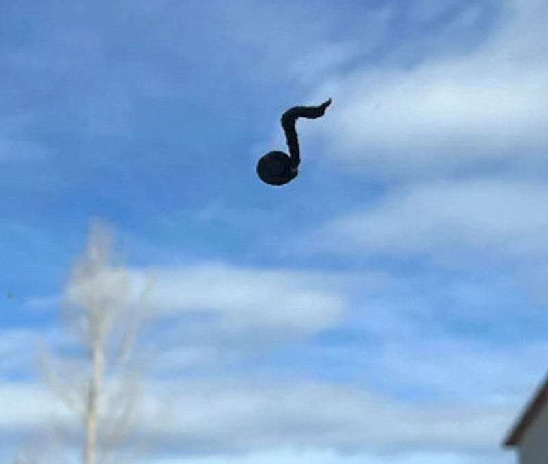 8. Ptica je ostavila "melodičan" izmet