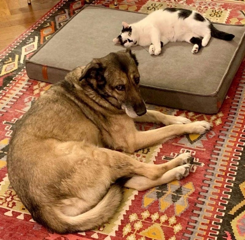 2. Svaki krevet je njezin krevet