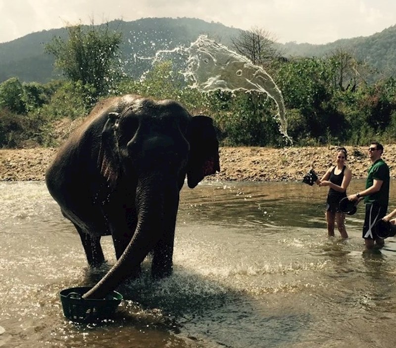 6. "Dok smo polijevali slona u safariju, nekako se voda formirala u oblik slona. Predobro!"