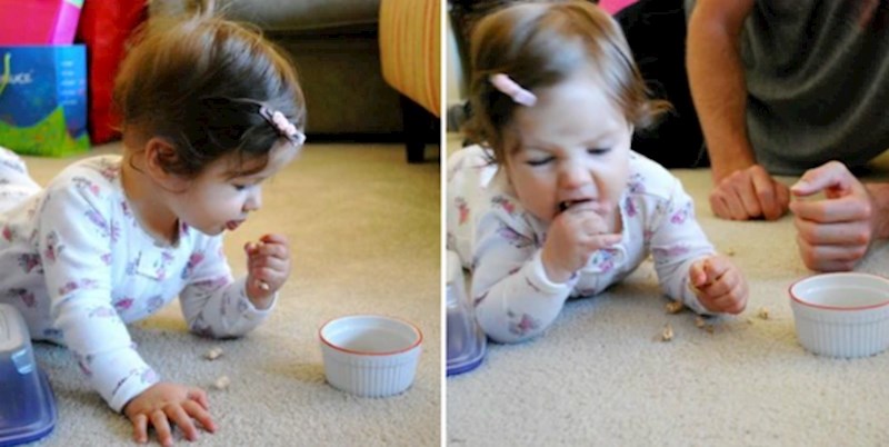 "Hrana s poda je najfinija!"