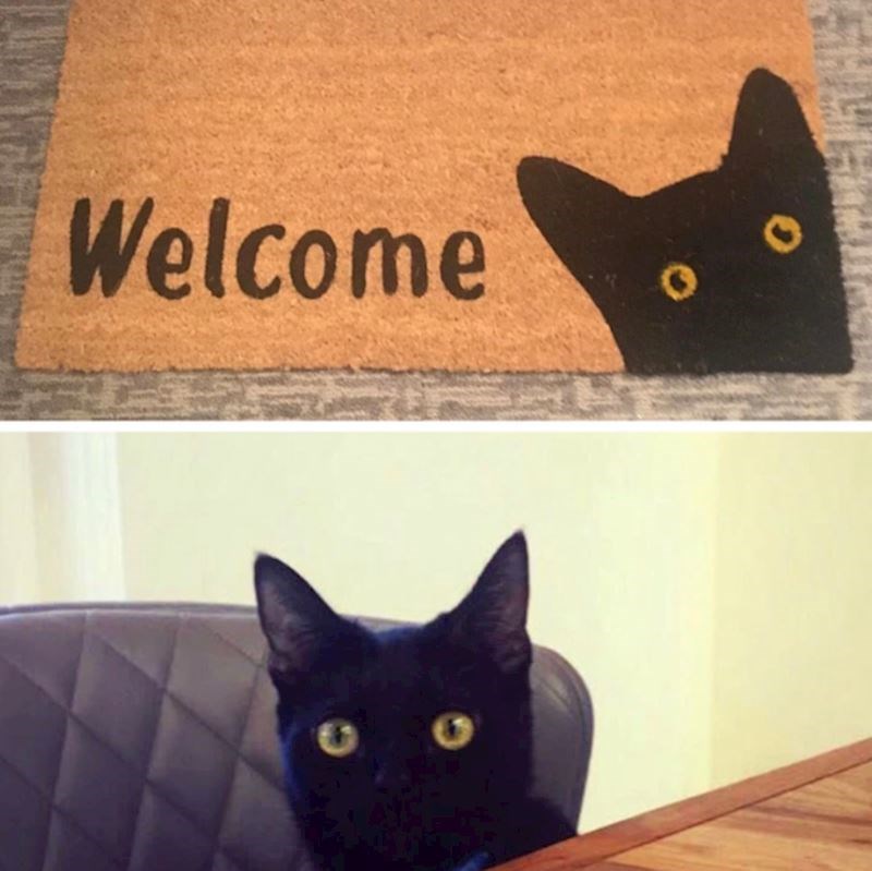 Ispred susjedovih vrata su vidjeli otirač koji izgleda identično kao njihova mačka