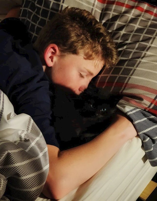 1. Mama ovog dječaka je mislila da je mačka nestala, a onda ju je pronašla kako leži kod sina u krevetu.
