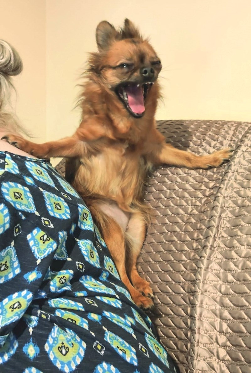 2. Žena je stisnula gumb u savršenom trenutku i ulovila ovaj genijalan prizor!