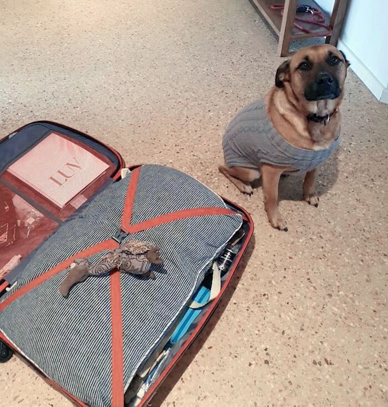 "Stavila je svoju igračku u moj kofer jer želi ići sa mnom. Pogledajte samo taj pogled"