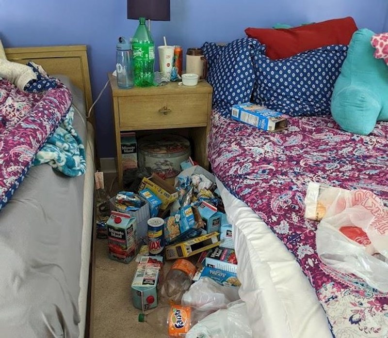 "Nećakinje su bile tjedan dana kod nas i cijelo to vrijeme nismo bili u sobi u kojoj su spavale. A onda smo se potpuno šokirali kad smo ugledali kakav je nered ostao iza njih"