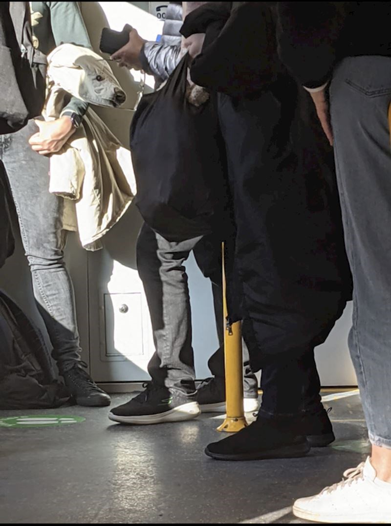 12. "Način na koji je ova jakna složena me jako podsjeća na polarnog medvjeda"