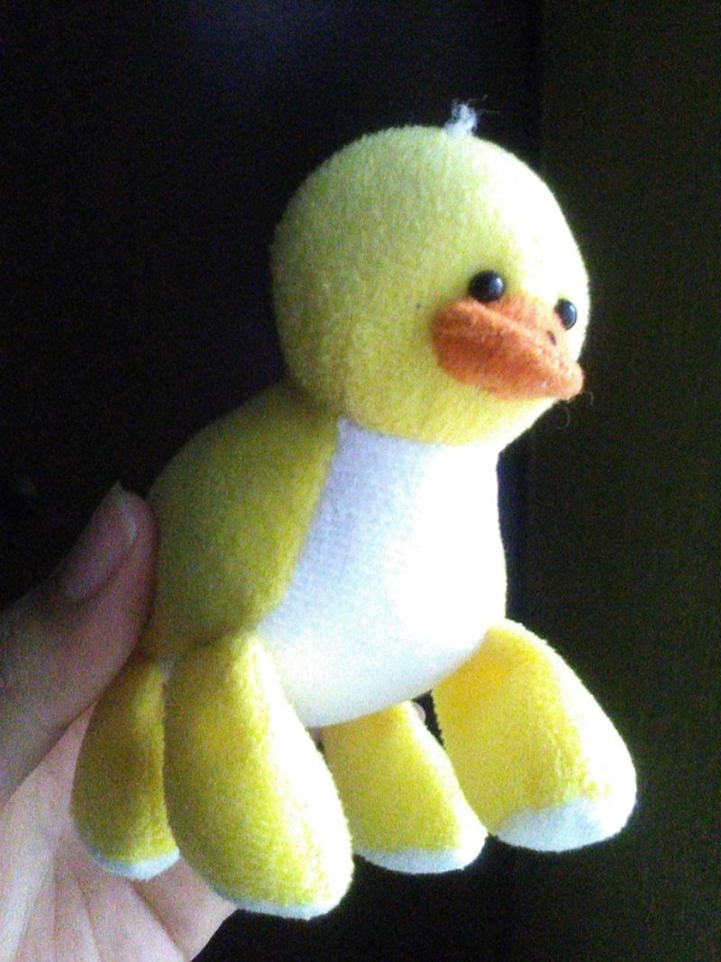 Modificirani pačić