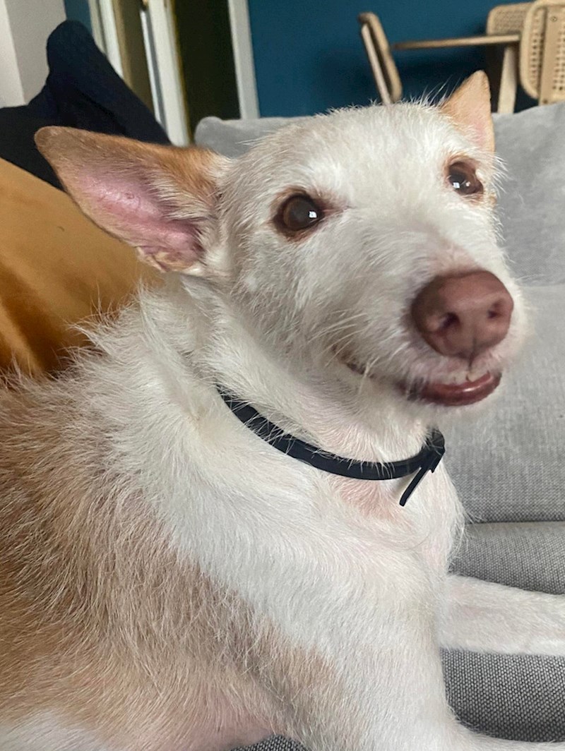 2. "Vidite samo ovaj osmijeh"