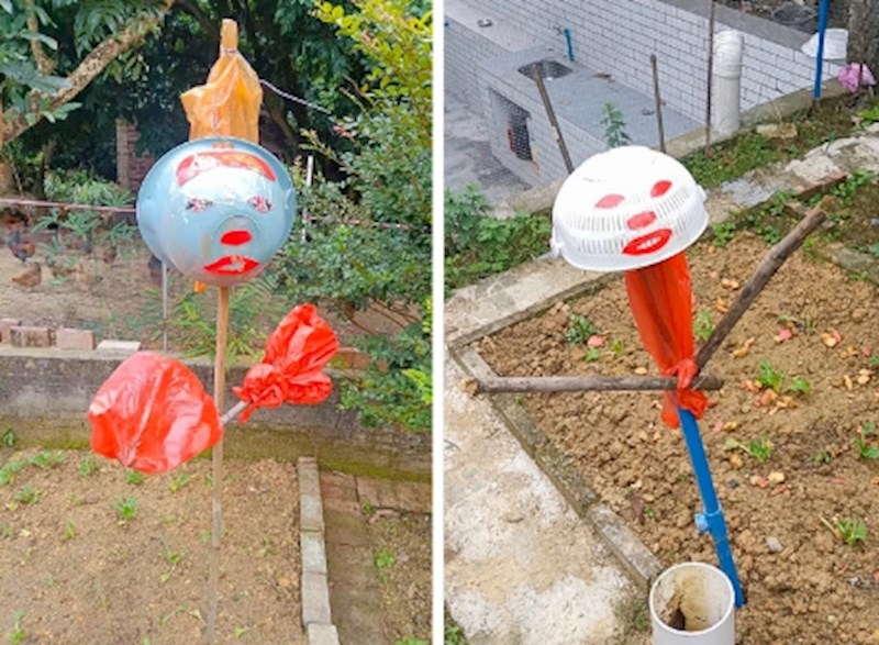 13. "Kokoši su nam stalno ulazile u vrt pa je moj tata napravio ova "strašila"..."