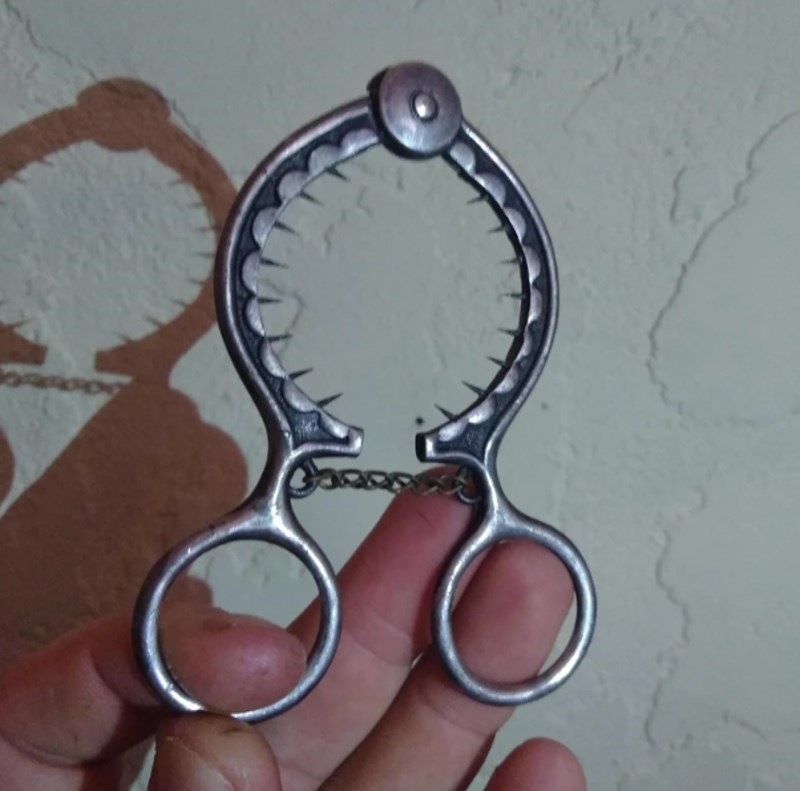 1. "Pronašla sam ovaj predmet skriven ispod podnih dasaka u kući svog dečka. Je li ono što mislim da jest?"