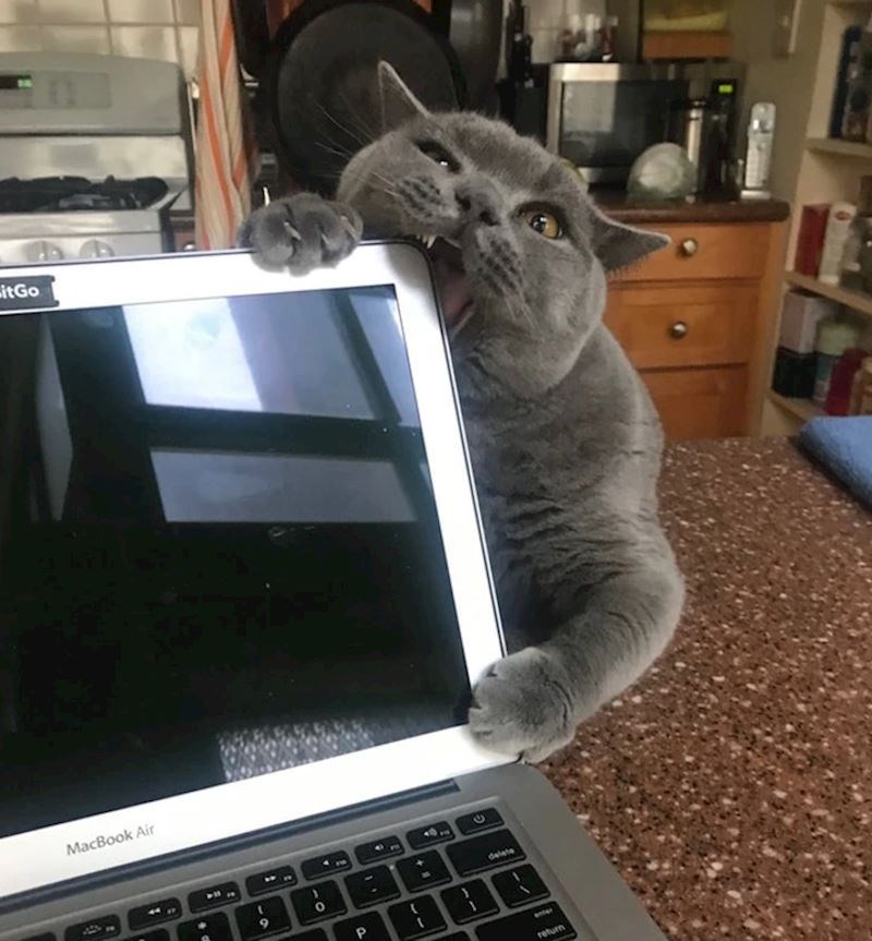 "Dosta posla za danas!"