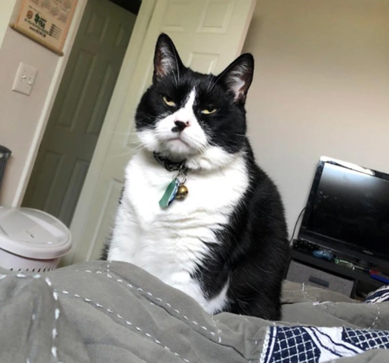 "Probudio se i shvatio da još uvijek nije dobio jesti."