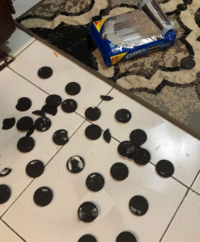 6. "Moj sin, dame i gospodo, samo voli jesti kremu od oreo keksa..."