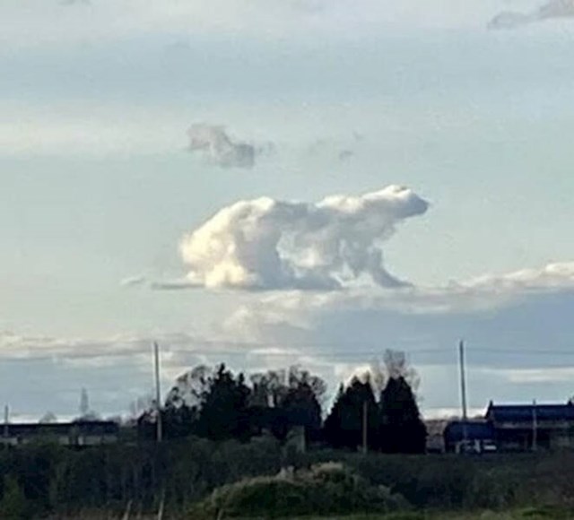 "Oblak izgleda kao medvjed"