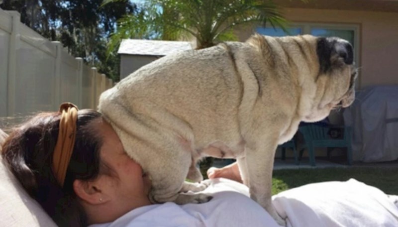 Najudobnije mjesto za sjedenje 😅