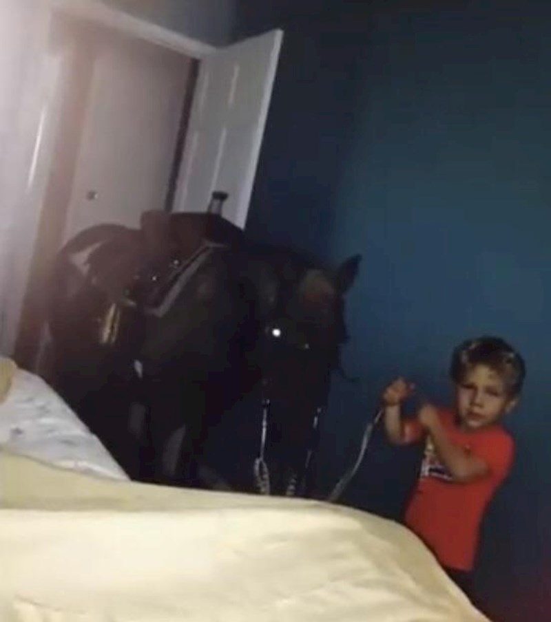 2. "Da, ovo se stvarno dogodilo. Došao je s ponijem u sobu i pitao smije li spavati kod njega u sobi..."