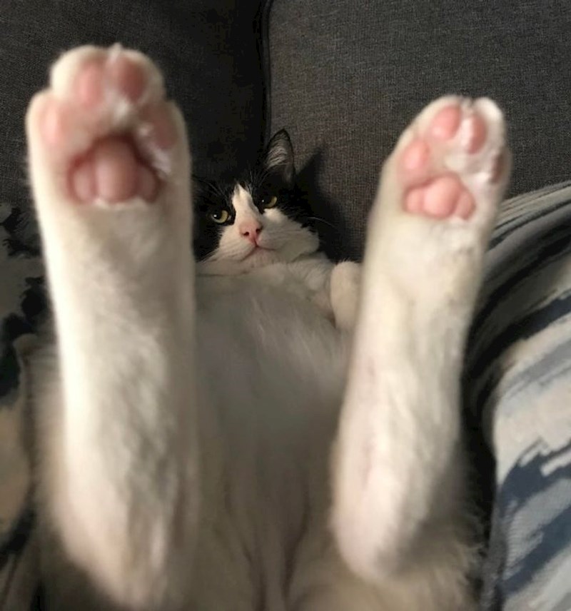 16. "Kakva poza ljudi moji! Kakva poza"