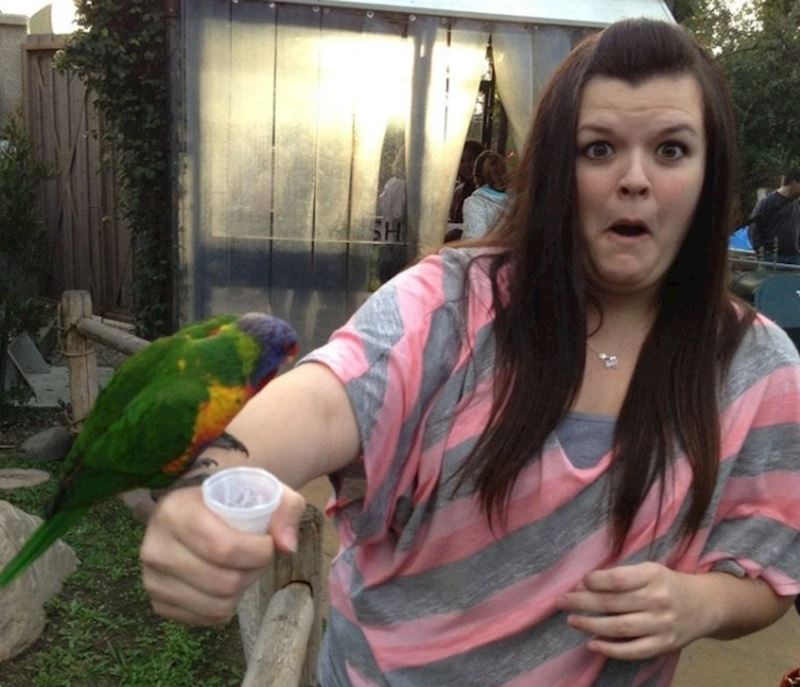 "Nije očekivala da će joj jedna, a kamoli dvije papige sletjeti na ruku. Drago mi je što sam ulovio reakciju"