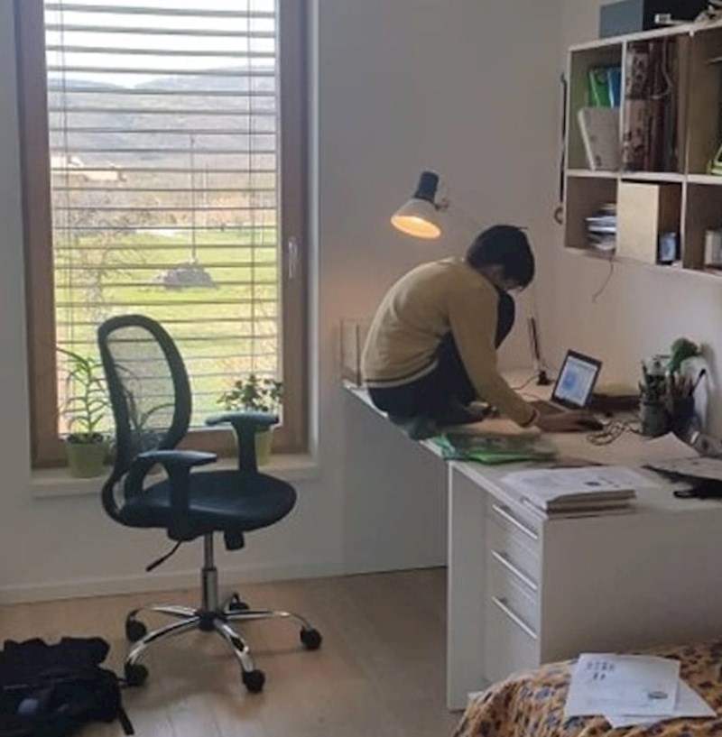 1. "Moj sin ovako voli učiti"