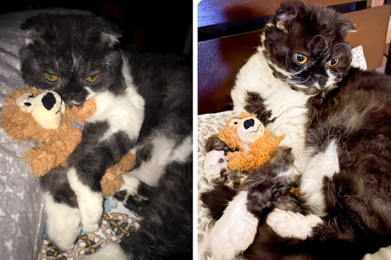 "Četiri godine kasnije i dalje nosi omiljenu igračku u krevet"