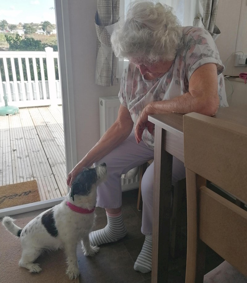 1. "Moja baka i njezin devetogodišnja kujica Minnie nisu bile zajedno mjesecima. Ovo je bio trenutak kad su konačno bile zajedno"