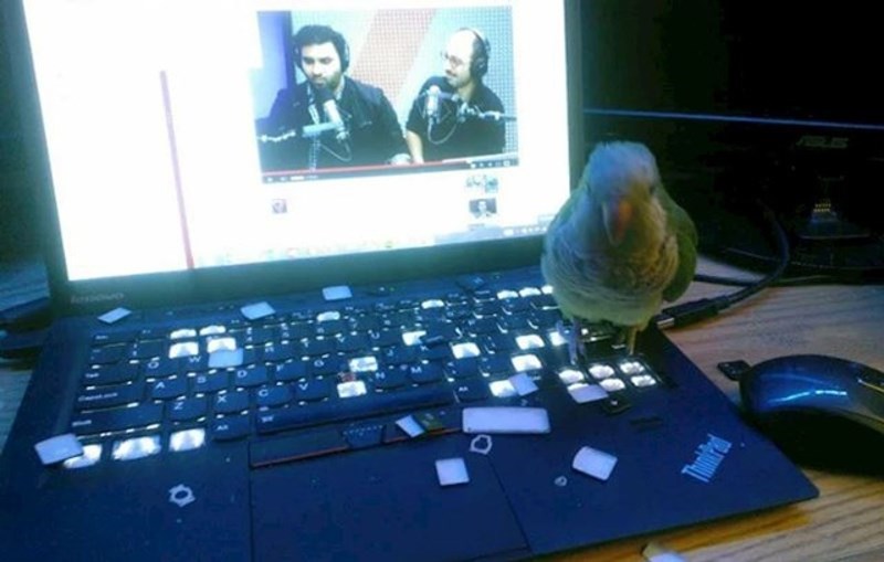 7. Baš je gadno zabrljao!