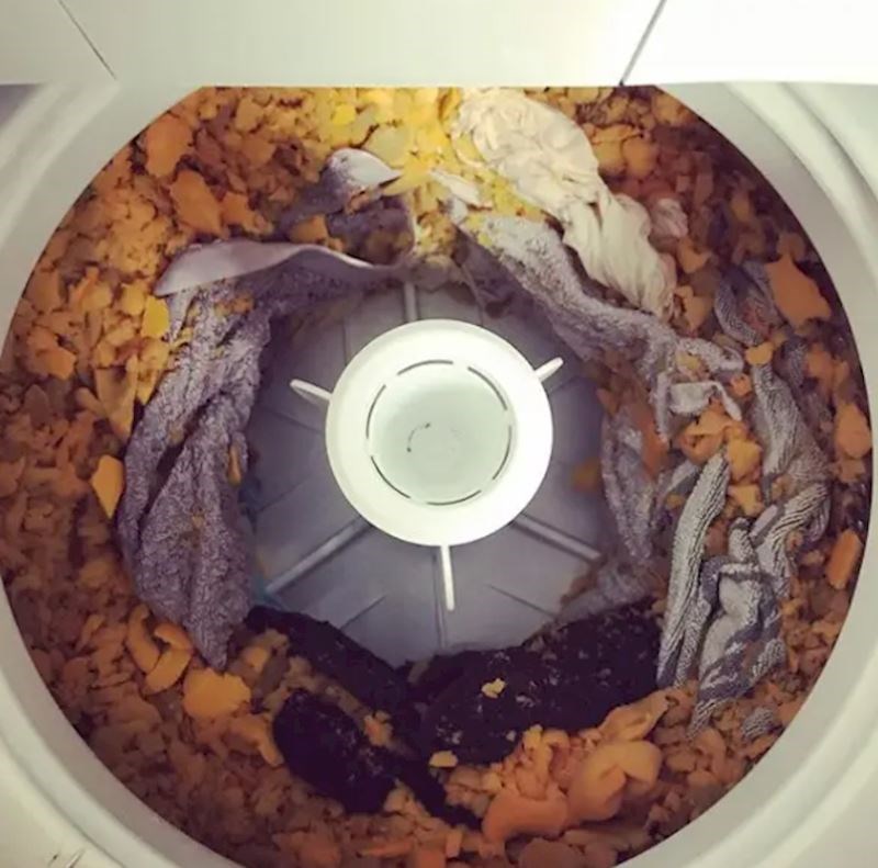 8. "Rekla je da želi oprati jastuke i istaknuo sam joj da je to loša ideja. Ona me nije poslušala, ali barem sam bio u pravu."