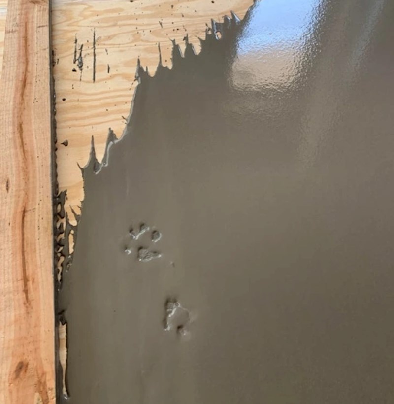 "Baš mora ostaviti svoj trag"