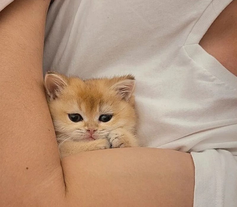 7. "Nešto najslađe na svijetu!"